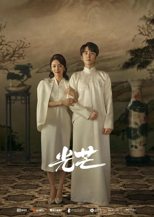 《光芒DVD版》：光影交织的视觉盛宴与情感深度解析