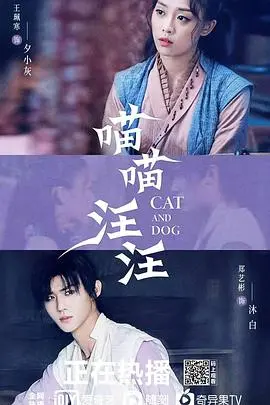 《喵喵汪汪》：萌宠治愈心灵的奇幻之旅，一场跨越物种的暖心陪伴